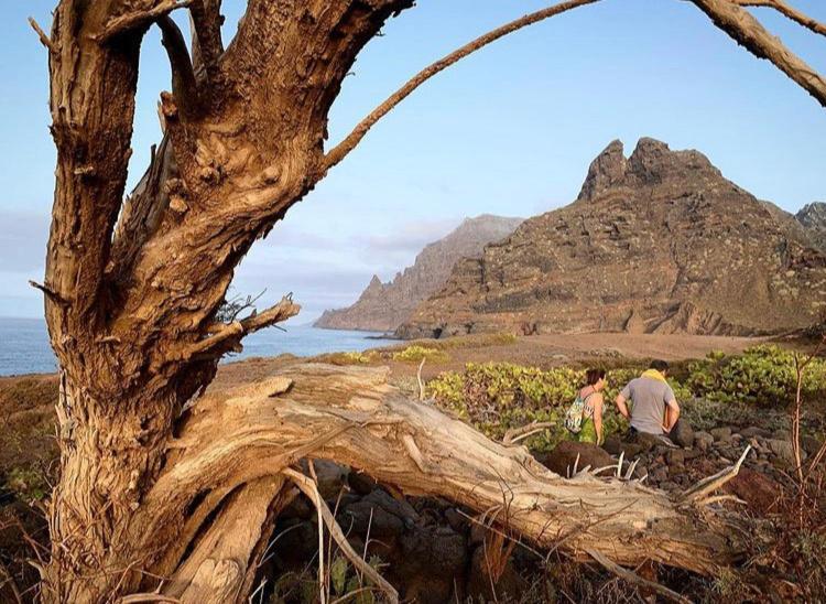 Beach Views Punta Del Hidalgo Luaran gambar